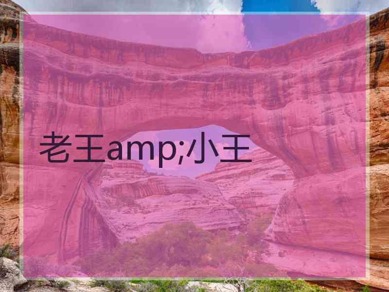 老王amp;小王