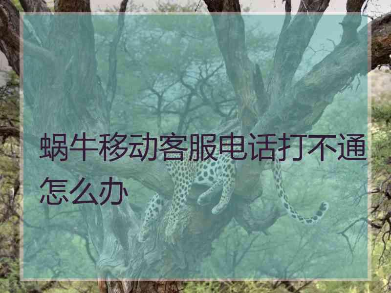 蜗牛移动客服电话打不通怎么办
