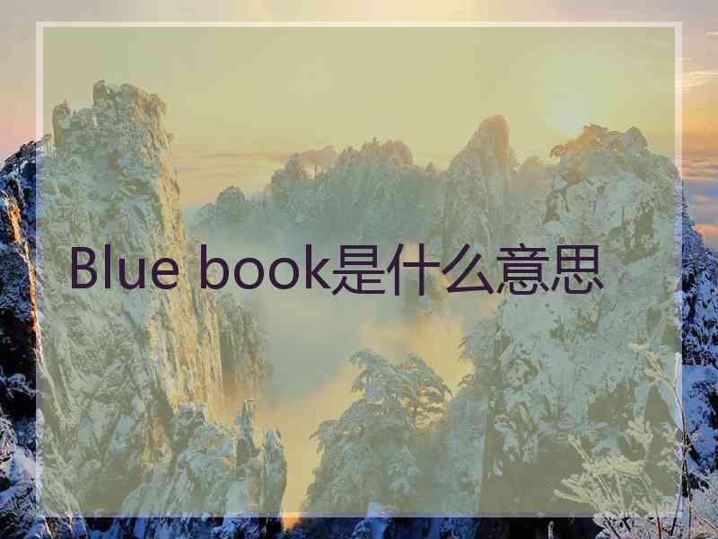 Blue book是什么意思