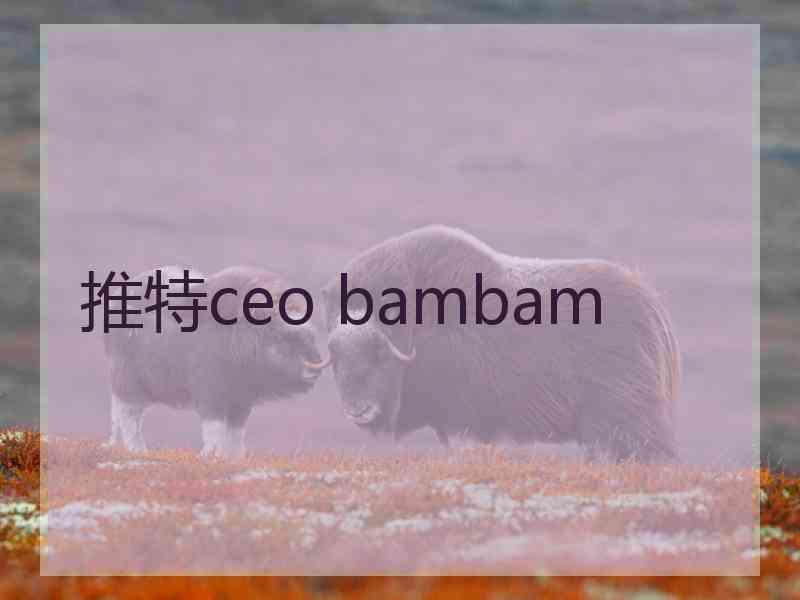 推特ceo bambam