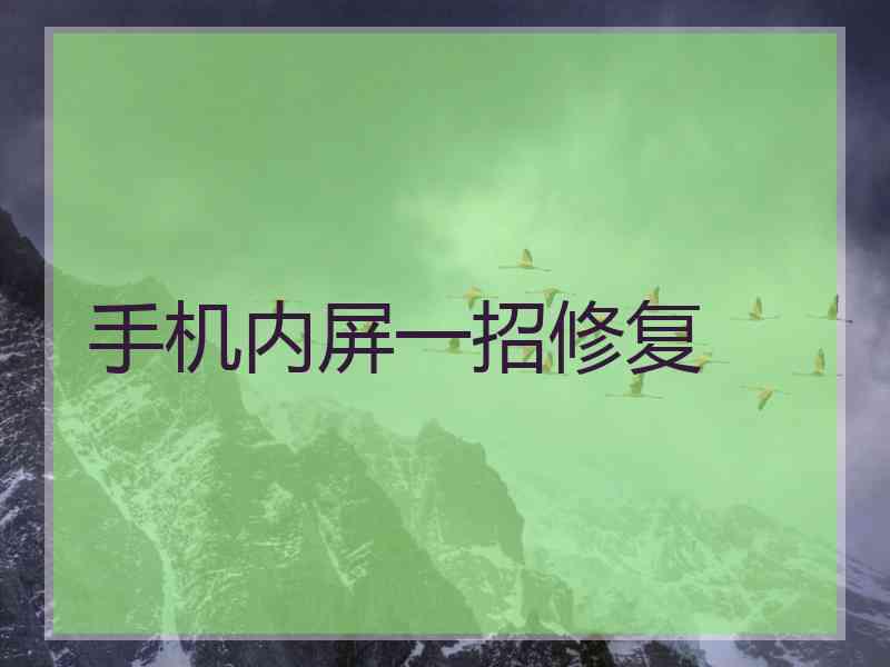手机内屏一招修复