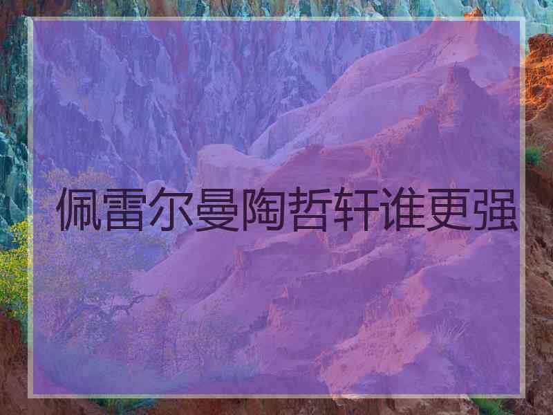 佩雷尔曼陶哲轩谁更强