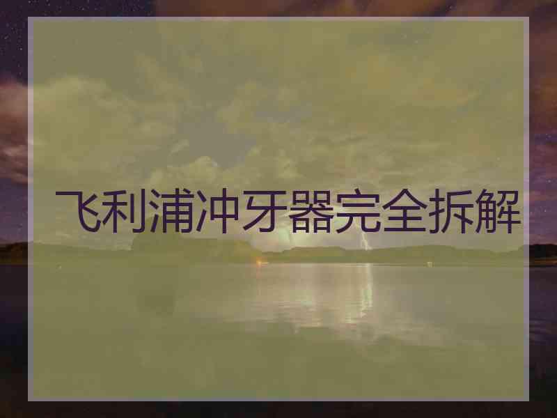 飞利浦冲牙器完全拆解