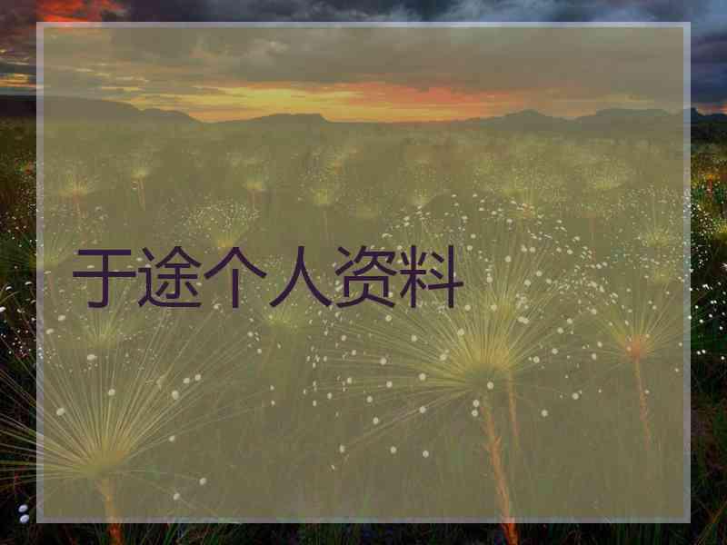 于途个人资料