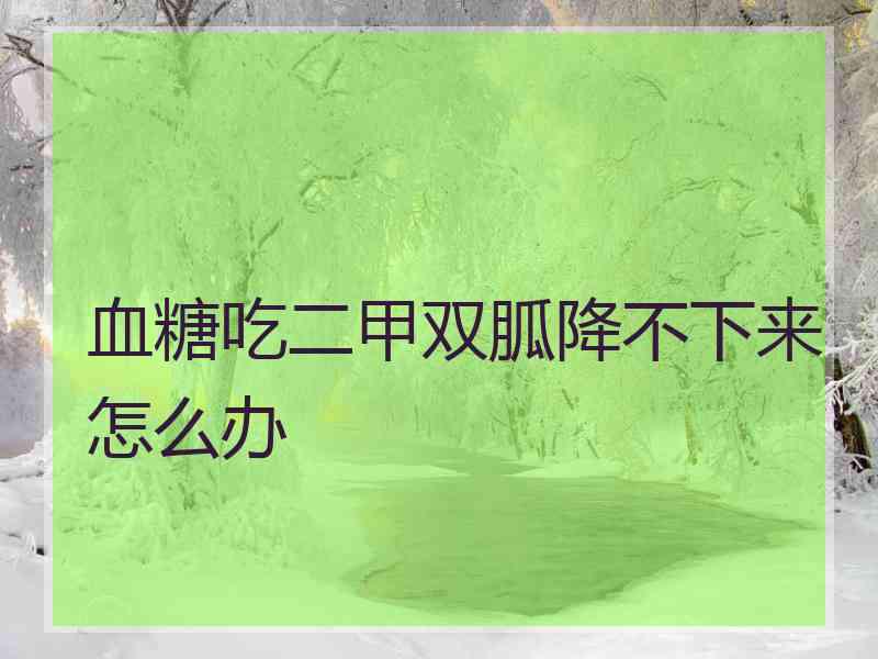 血糖吃二甲双胍降不下来怎么办