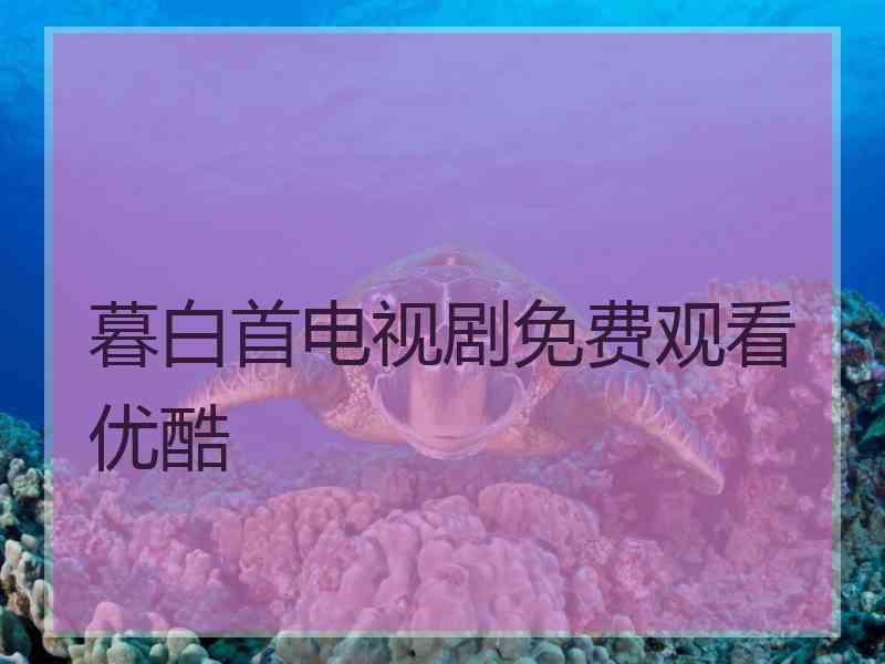 暮白首电视剧免费观看优酷