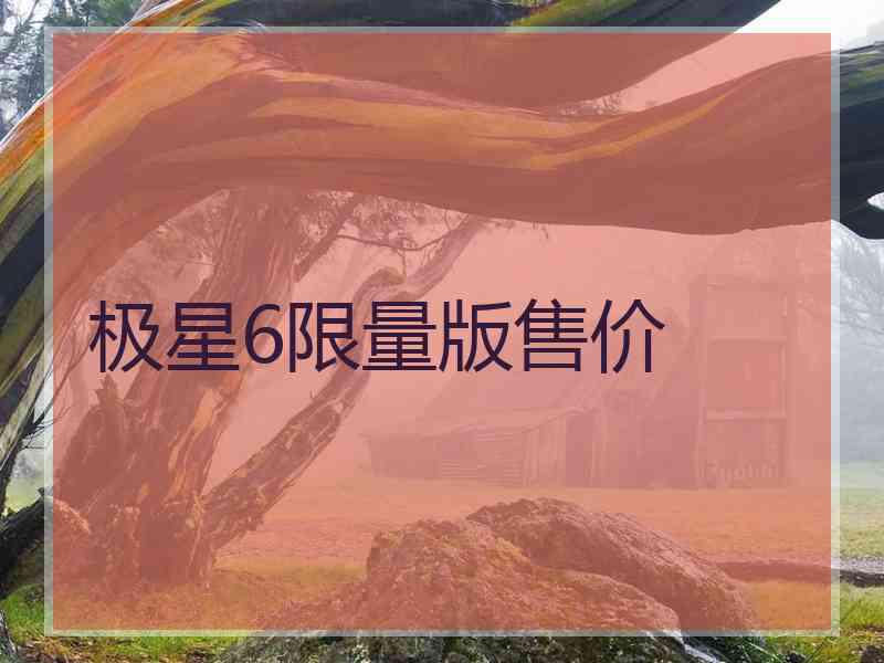 极星6限量版售价
