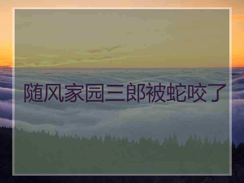 随风家园三郎被蛇咬了