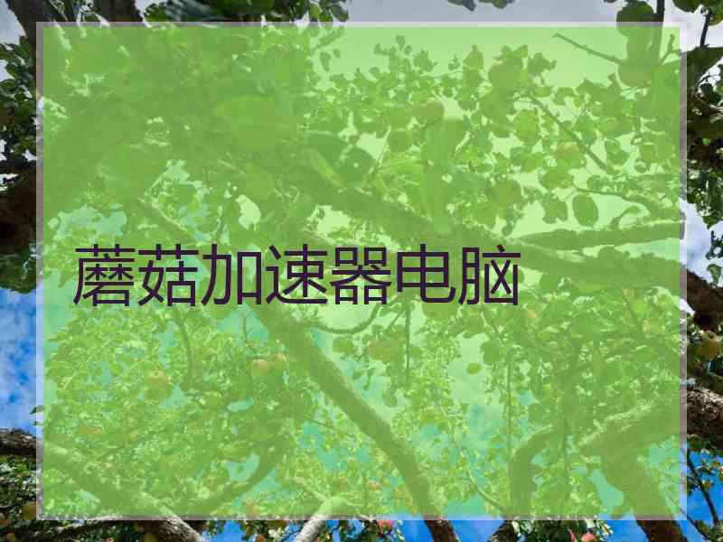 蘑菇加速器电脑