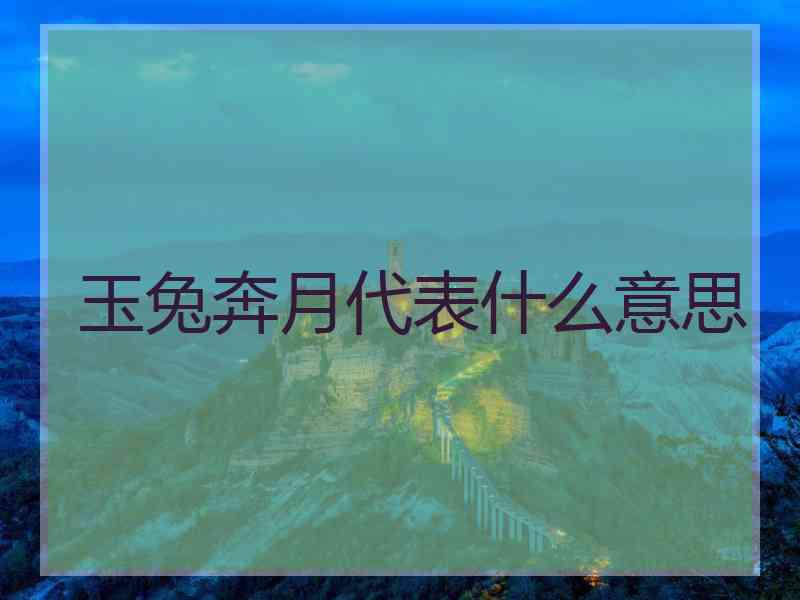 玉兔奔月代表什么意思