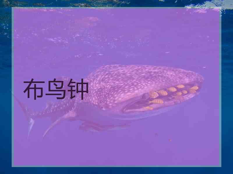 布鸟钟