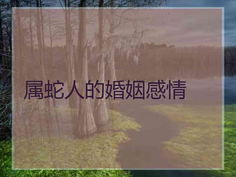 属蛇人的婚姻感情