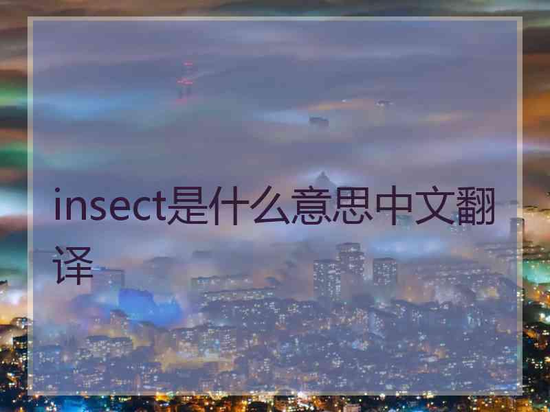 insect是什么意思中文翻译
