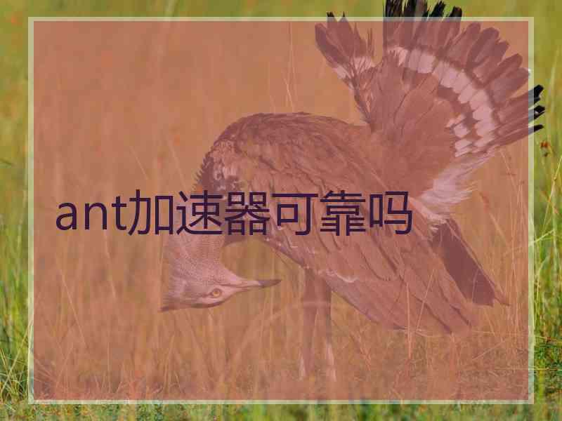 ant加速器可靠吗