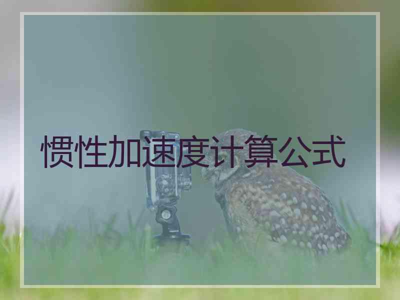 惯性加速度计算公式