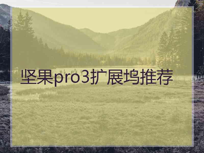 坚果pro3扩展坞推荐