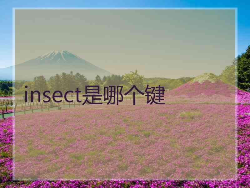 insect是哪个键