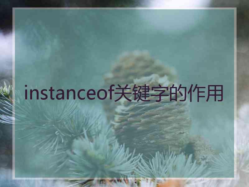 instanceof关键字的作用