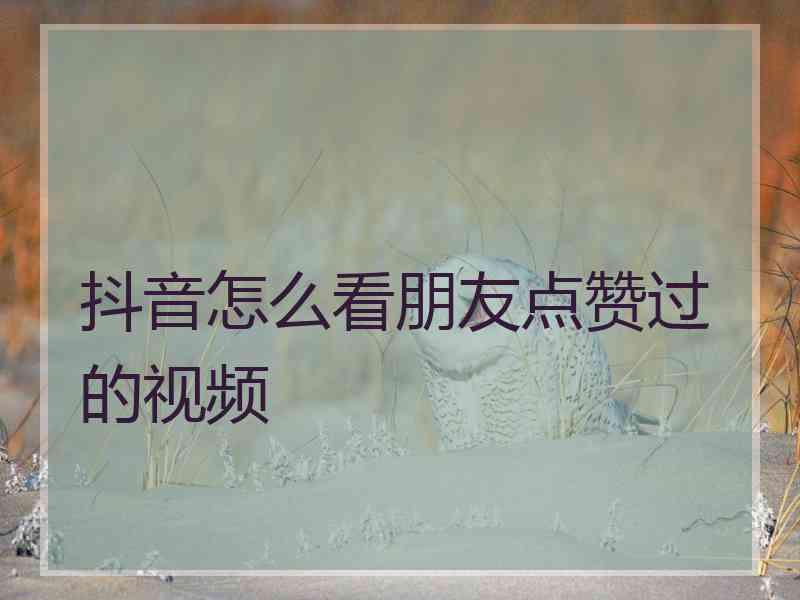 抖音怎么看朋友点赞过的视频