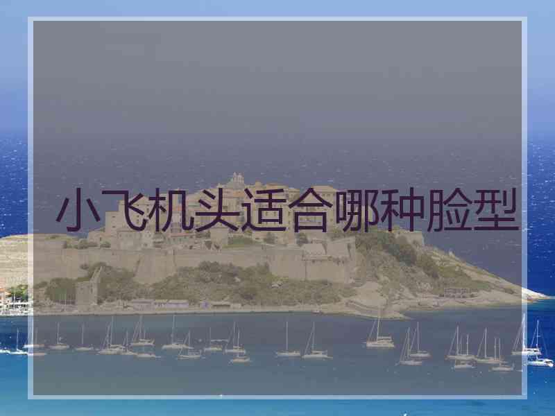 小飞机头适合哪种脸型
