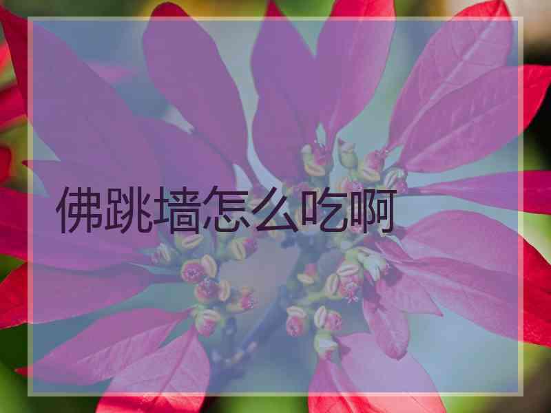 佛跳墙怎么吃啊