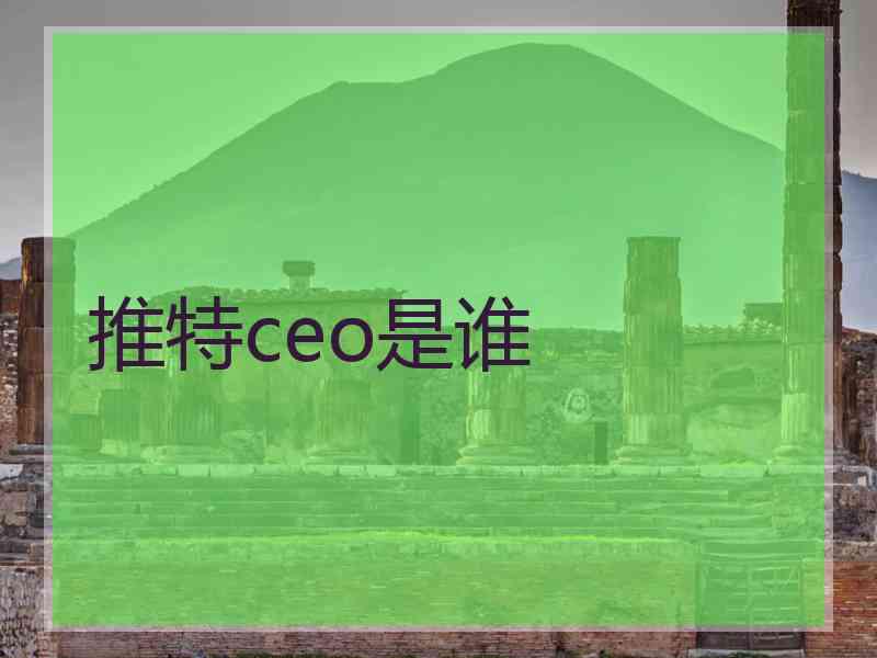 推特ceo是谁