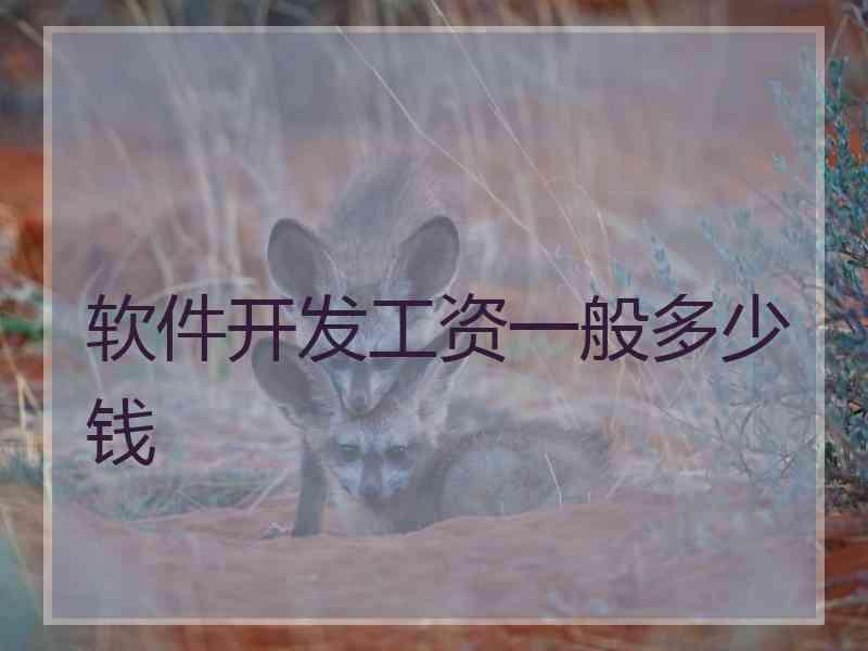 软件开发工资一般多少钱