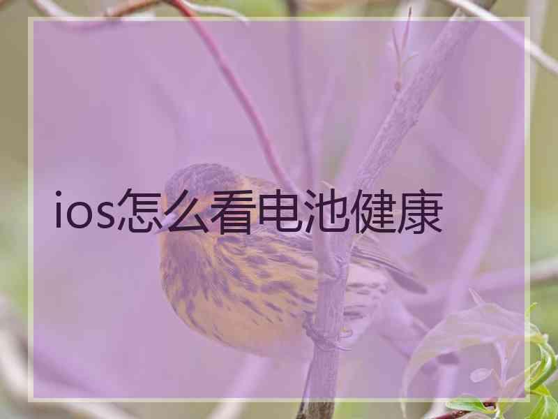 ios怎么看电池健康