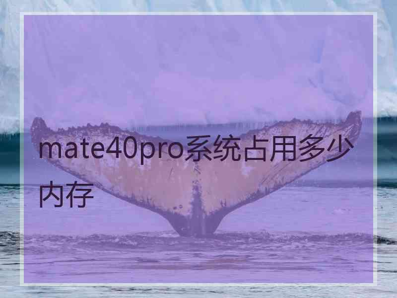mate40pro系统占用多少内存