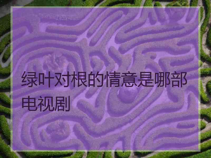 绿叶对根的情意是哪部电视剧