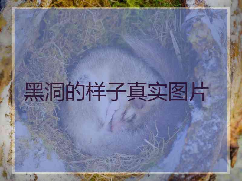 黑洞的样子真实图片