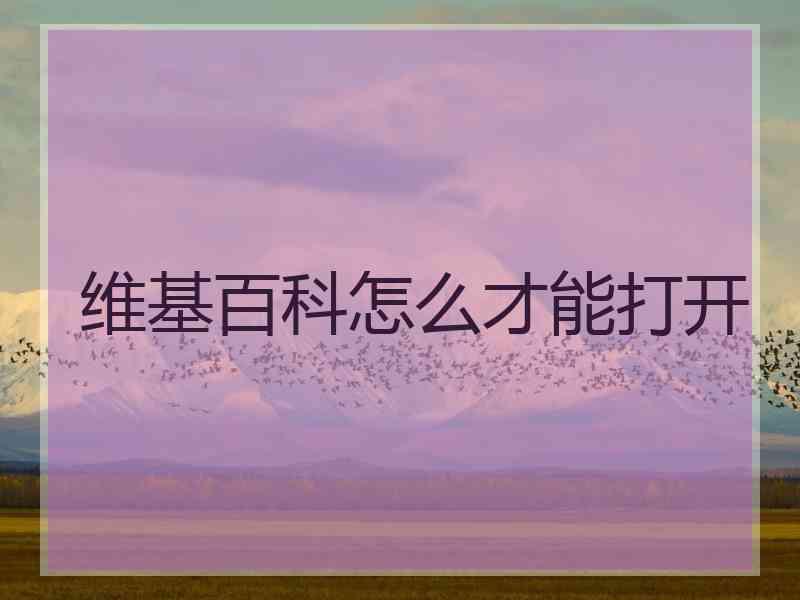 维基百科怎么才能打开