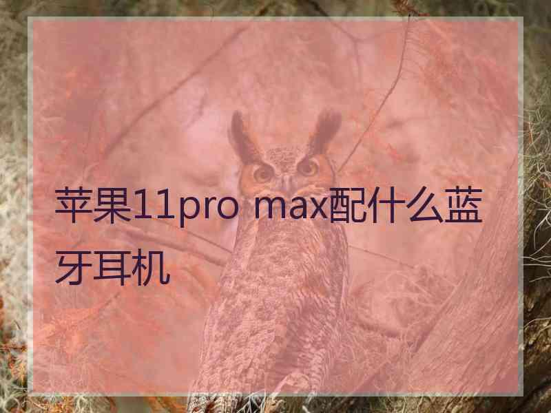 苹果11pro max配什么蓝牙耳机