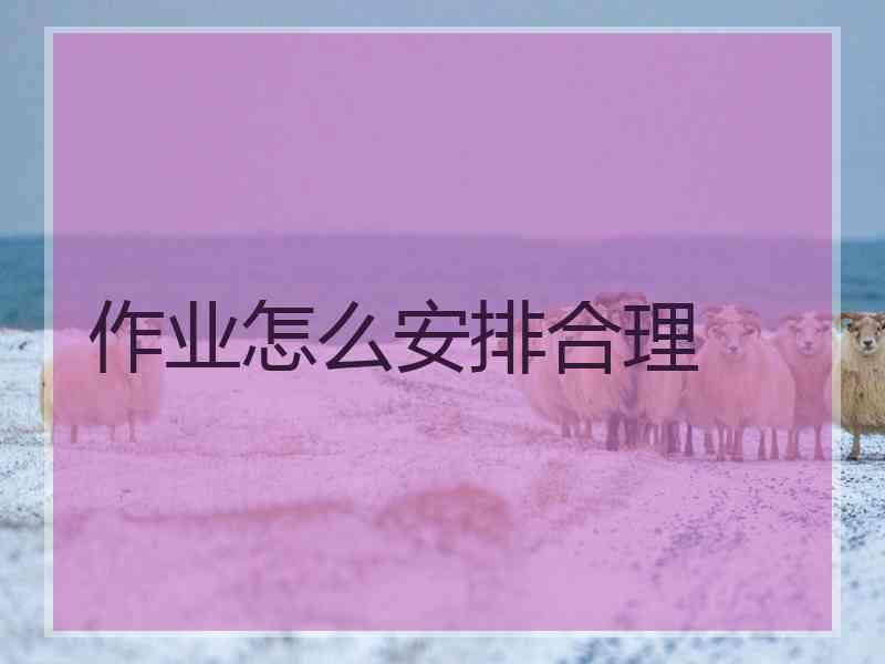 作业怎么安排合理