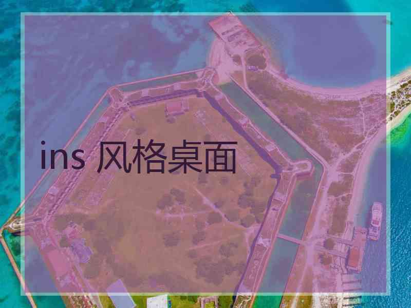 ins 风格桌面