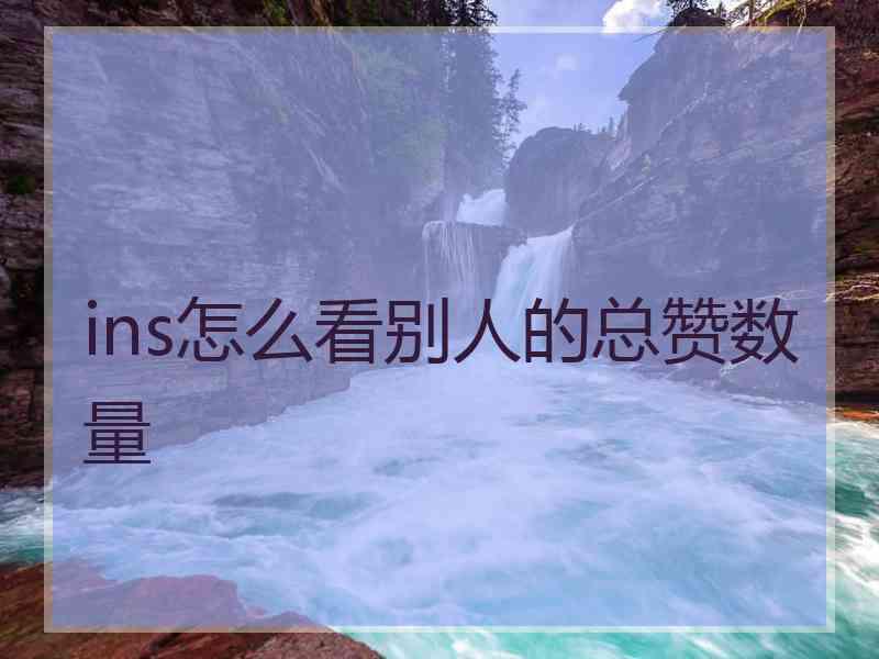 ins怎么看别人的总赞数量
