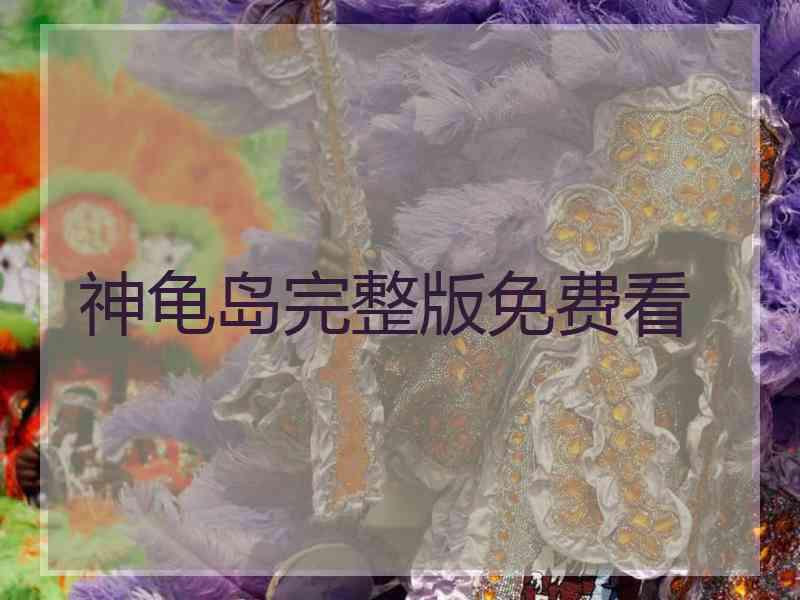 神龟岛完整版免费看