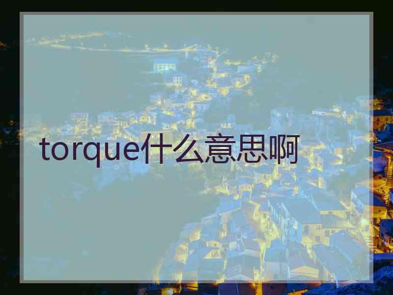 torque什么意思啊