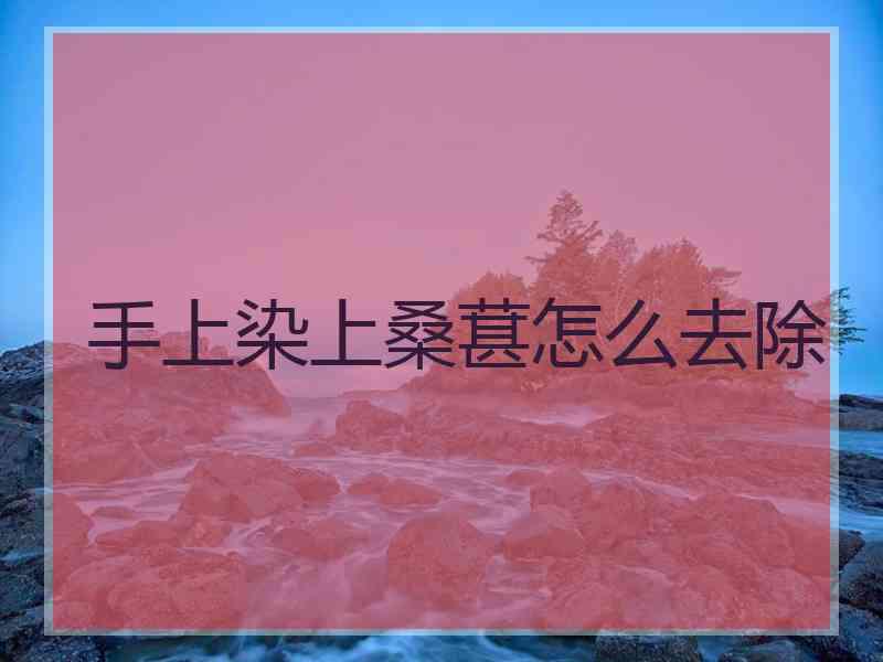 手上染上桑葚怎么去除