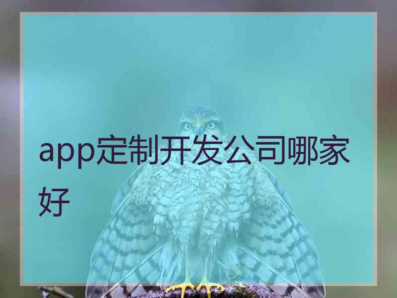 app定制开发公司哪家好
