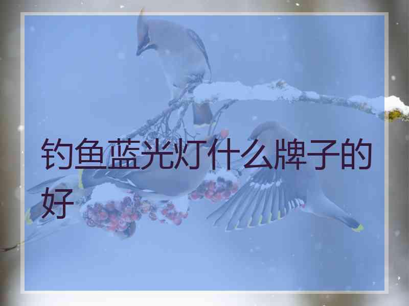 钓鱼蓝光灯什么牌子的好