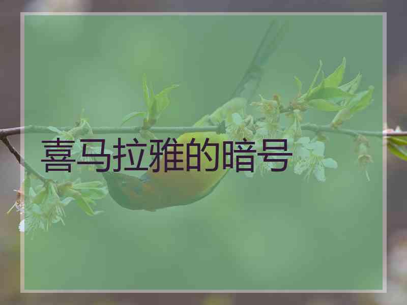 喜马拉雅的暗号
