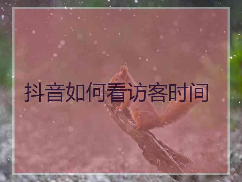 抖音如何看访客时间