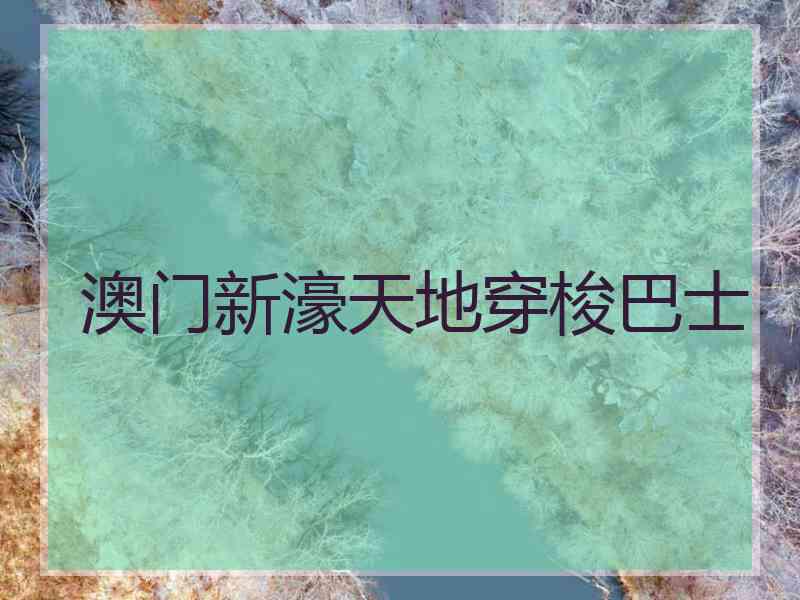 澳门新濠天地穿梭巴士