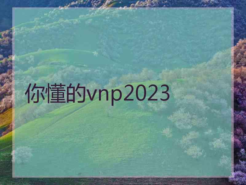 你懂的vnp2023
