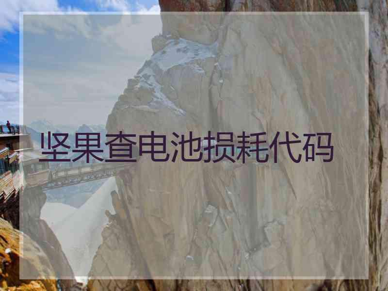 坚果查电池损耗代码