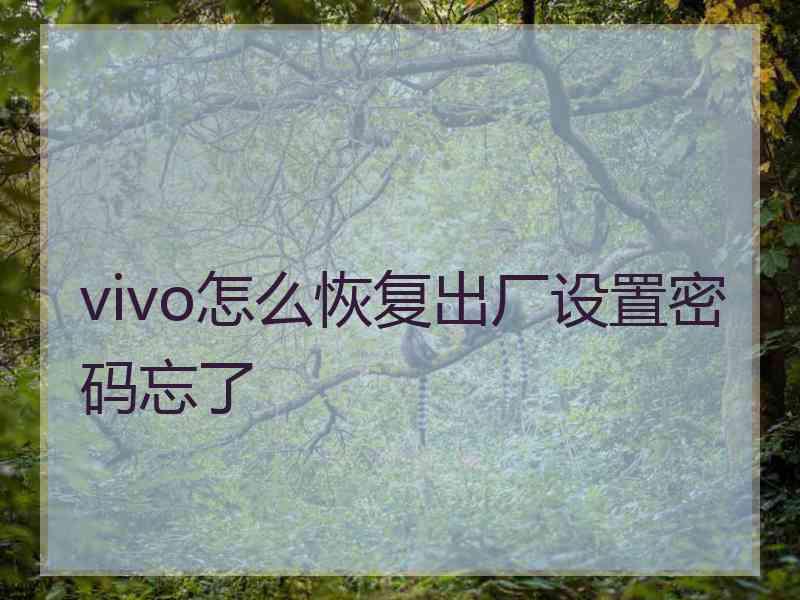 vivo怎么恢复出厂设置密码忘了