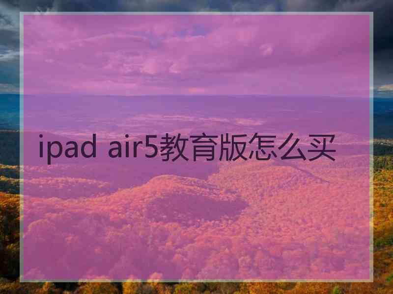 ipad air5教育版怎么买