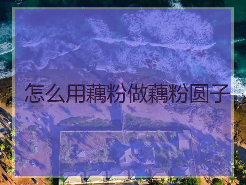 怎么用藕粉做藕粉圆子
