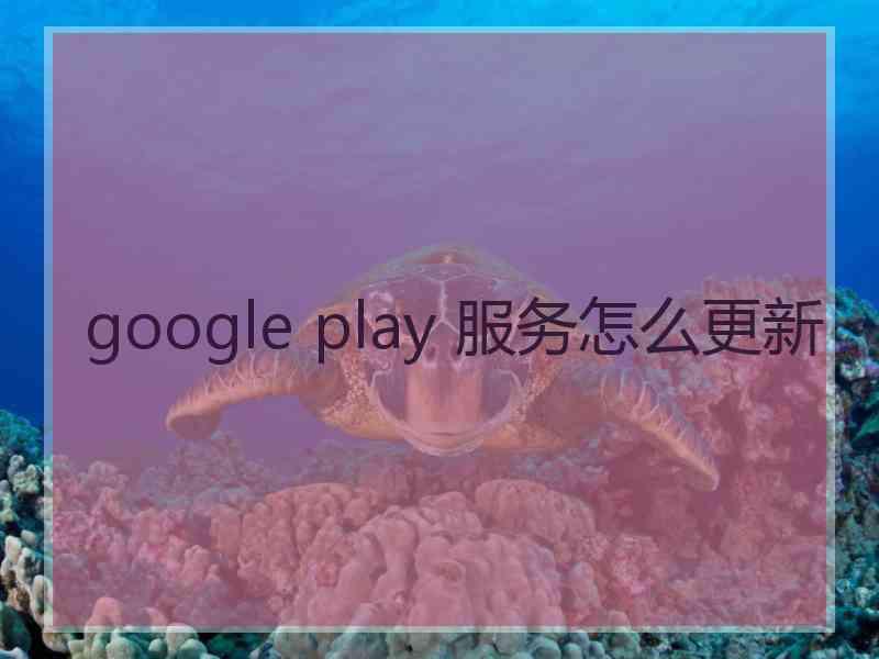 google play 服务怎么更新